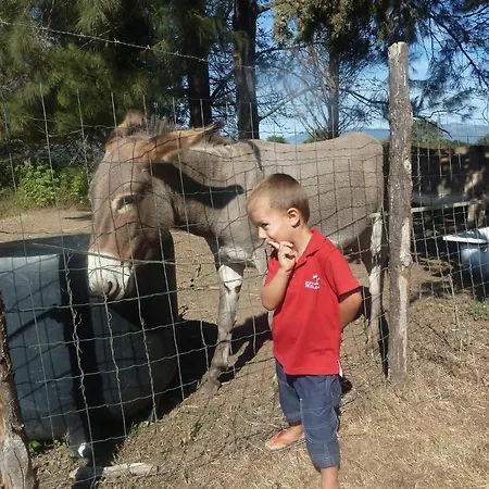 Monica Di Vakantiehuis *