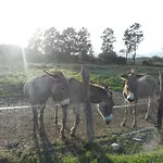 莫妮卡索尔波旅馆