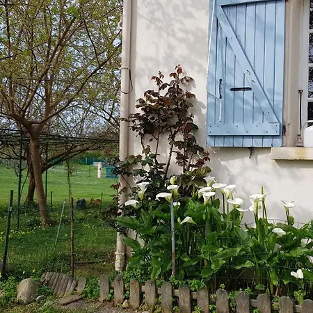 Monica Di * Sorbo-Ocagnano