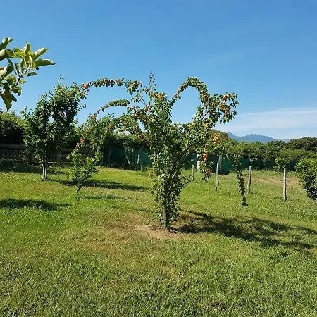 Monica Di Casa vacanze Sorbo-Ocagnano