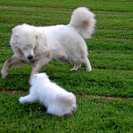 Monica Di Casa vacanze