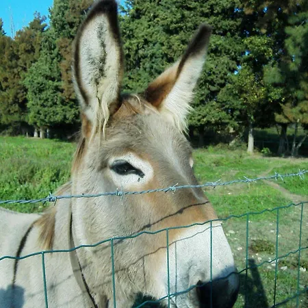 Monica Di Casa vacanze *