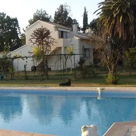 Monica Di Casa vacanze