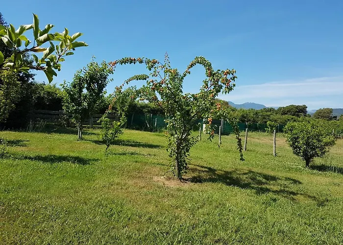 Monica Di בית נופש Sorbo-Ocagnano