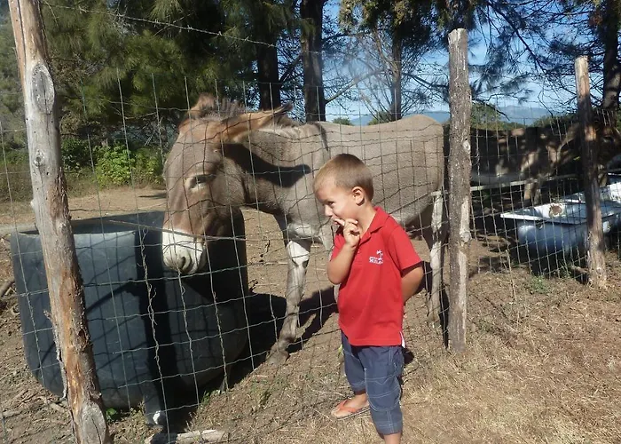 Monica Di בית נופש *